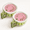 #06B 2 Pack, variant on 2-in-1 Fresh Keeper Colander Storage Container – Airtight Produce Keeper with Strainer Lid, Fruit and Vegetable Washer & Fridge Organizer, BPA Free 1pack