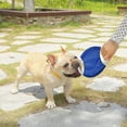 thumbnail image 4 of Frisbee de cuerda de algodón para mascotas, juguetes para perros resistentes a mordeduras, herramientas para la dentición de perros, 3 uds. JM, 4 of 5