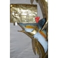 thumbnail image 6 of Nifao Two Sailfish Mailbox Bronze Statue – Garden Outdoor Decor Sculpture, 45"L x 33"W x 74"H, 6 of 12