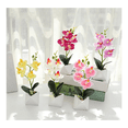 thumbnail image 4 of 4 pzs Arreglo Orquídeas Artificiales Decoración Con Macetas Malubero, Multicolor, 4 of 5