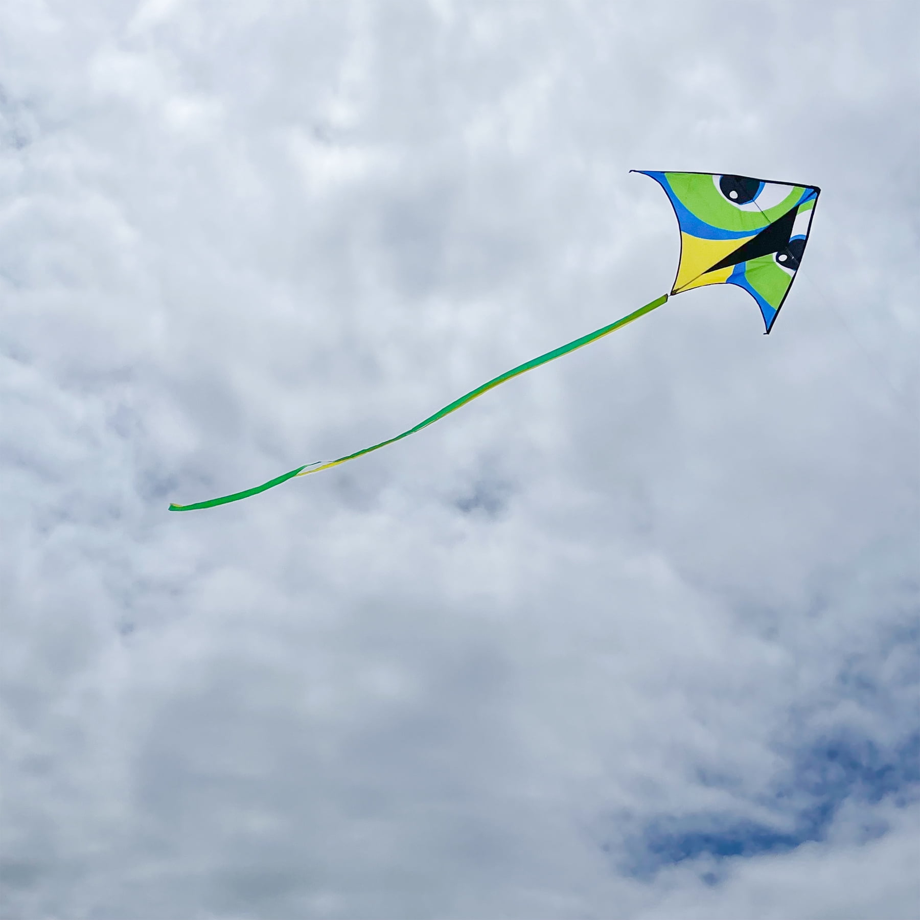 In the Breeze 3339 — Manu Green 72" Delta Kite — Colorful Large Fun, Easy-Flying Single Line Kite for All Ages