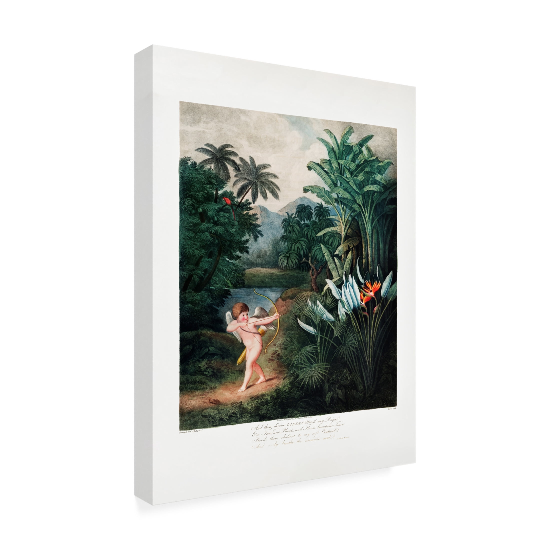 Trademark Fine Art Pictufy  Cupid Inspiring Plants with Love Canvas Wall Art