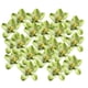 thumbnail image 1 of 20 cabezas de orquídeas artificiales de seda, simulación de flores para la cabeza Verde, 1 of 9