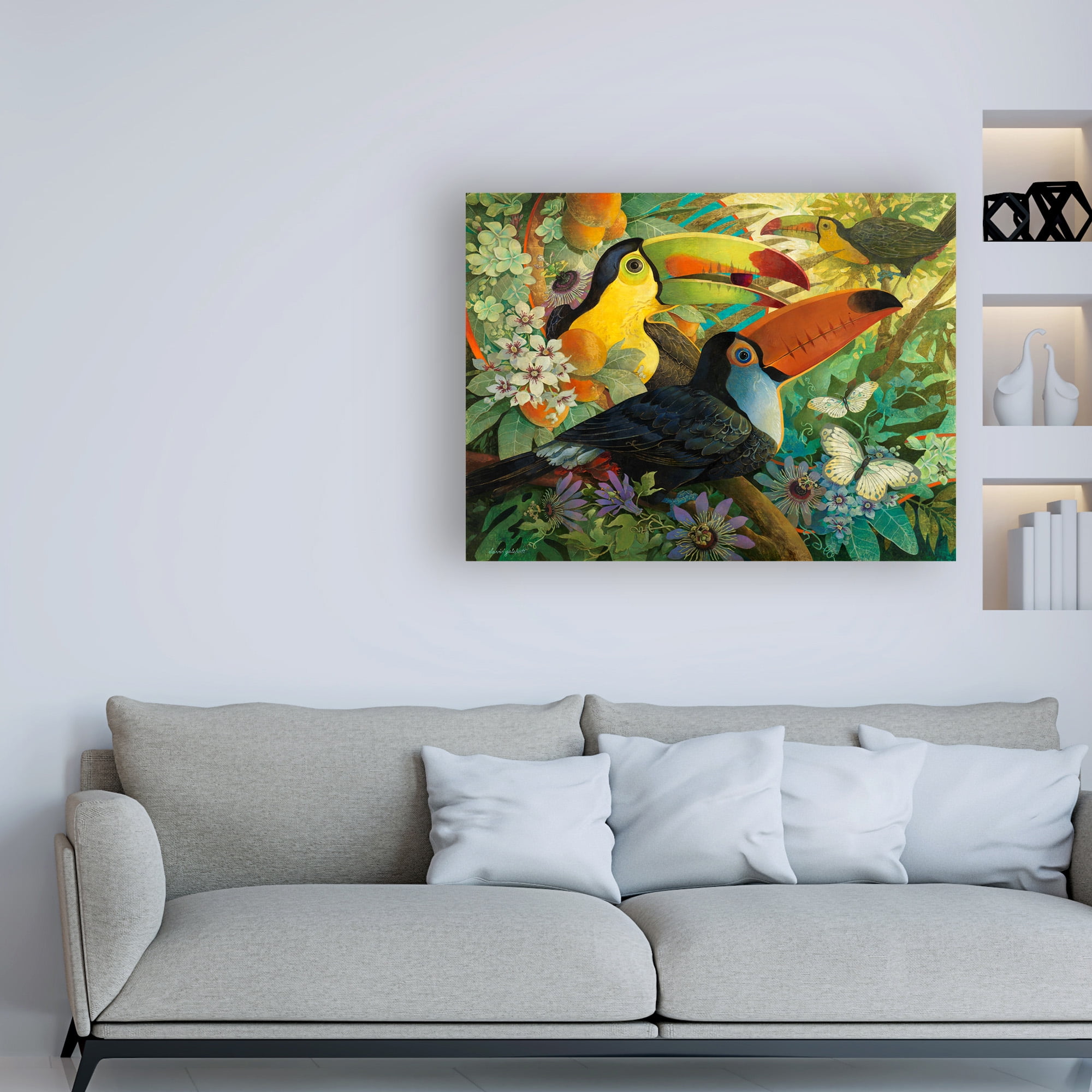 Trademark Fine Art 'Interlude Toucans' Canvas Art by David Galchutt