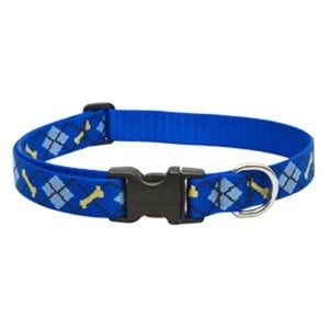 Dog Collar, Adjustable, Dapper Dog, 1 x 12 to 20-In. 41852