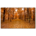 thumbnail image 1 of Picture-Tiles.com: Autumn Ceramic Tile Wall Mural WAL500030-53S. 21.25"W x 12.75"H using (15) 4.25" x 4.25" Ceramic Tiles-Satin Finish, 1 of 3