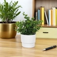 thumbnail image 4 of OULII 3Ud Bonsái Artificial Pequeño Maceta Ideal Para Interior Estilo Granja, 4 of 6