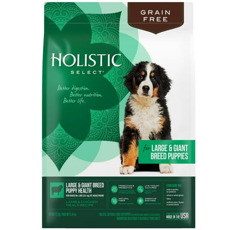 Holistic Select Natural Grain Free Dry Dog Food, Large & Giant Breed Puppy Recipe, 12-Pound (Best Giant Dog Breeds)