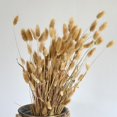 thumbnail image 4 of 50/60pcs Dried Flower Grass Decoration Photography Props For Home Store Wedding, 4 of 4