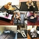 thumbnail image 4 of Cama elevada para perros al aire libre, cunas elevadas para perros con pies antideslizantes, cunas de tela de malla lavables y masticables para interiores y exteriores,Black, 4 of 5