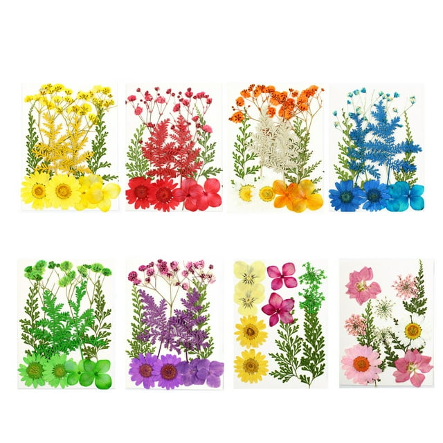 Dried Flowers Set DIY Making Photography Real Flower Flowers Set Decal Pressed Specimen Label for Necklace Decorations Supplies Red Orange