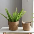 thumbnail image 4 of Maceta tejida de ratán con suelo de bambú, extragrande, de paja, para Phalaenopsis, sencilla y carnosa, maceta de un galón, 4 of 6