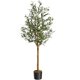 thumbnail image 1 of QinaQin Árbol de olivo artificial alto de 4/5/6 pies, planta de seda en maceta con tronco de madera y frutos realistas para decoración interior del hogar u oficina, 1 of 6