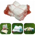 thumbnail image 3 of 100 Sacs en Filet Anti-Insectes, Filet de Protection en Nylon pour Jardin, Sac de Protection Réutilisable pour Fruits et Plantes, Sac Anti-Oiseaux avec Cordon 15 x 25cm, 3 of 4