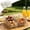 Clear-Free Size/C, variant on Four Compartment Acrylic Snack Fruit Platter with Gold Metal Stand Shatterproof Serving Tray for Party Kitchen Bar