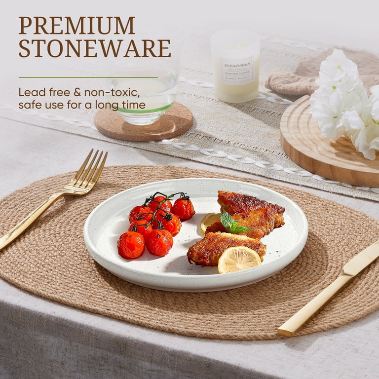 Vesteel 6-Piece Handcrafted Stoneware Dinner Plate Set photo 2