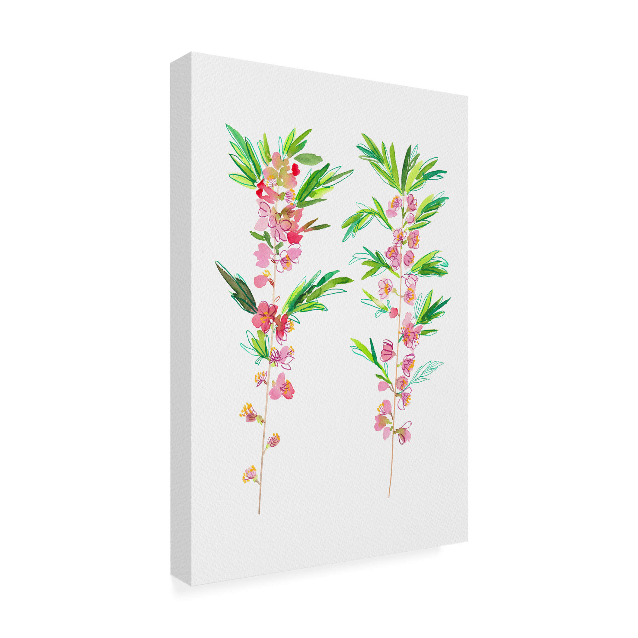 Trademark Fine Art Kata Botanical Dwarf Russian almond or Prunus tenella botanical painting Canvas Wall Art