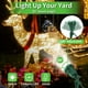 thumbnail image 5 of Foco LED navideño QITIM 800LM impermeable, paquete de 2, 5 of 8