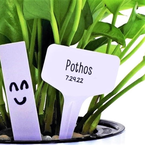 TomorrowSeeds - White T-Shaped Plant Labels - 10 Count - For 2026 Planting Row Marker Label Stake