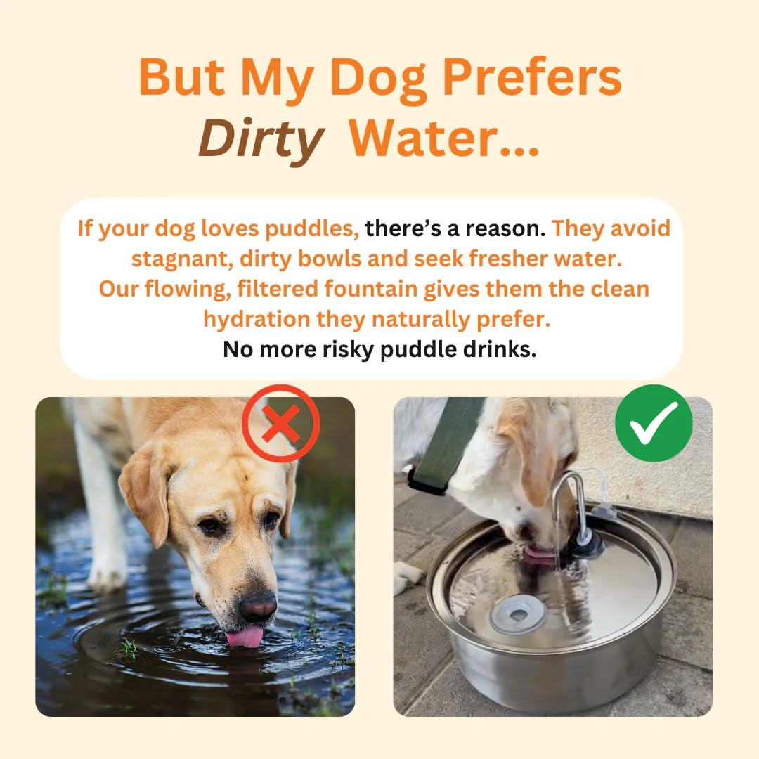 3.2L Pet Water Fountain, Large Capacity Dog Stainless Steel, Silent Low-Noise Design, Multi-Filtration, LED Low‑Water Alert, Suitable for Home Use