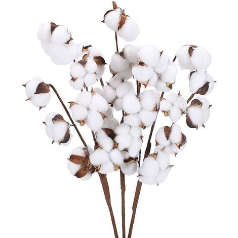 Branches decorative vase balcony decoration dried flowers natural cotton artificial flowers decoration dried flowers bouquet 1 branch decorative vase balcony decoration dried flowers natural cott