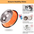 thumbnail image 5 of Stainless Steel Cat Bowls 3 Pack, Puppy Small Dogs Bowls for Food and Water, Cat Dish Set for Wet Food or Kibbles, Multifunctional Pet Bowls, Colored Non Skid Anti Slip Feeding Plate - type:style4, 5 of 6