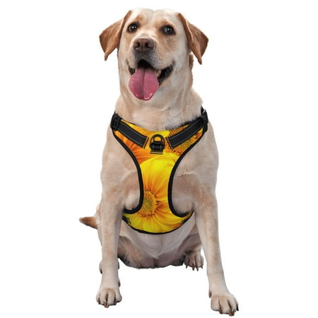 Junzan 3d Sunflowers Pattern Dog Harness - Lightweight Soft Adjustable Small Harness And Leash Set-X-Large