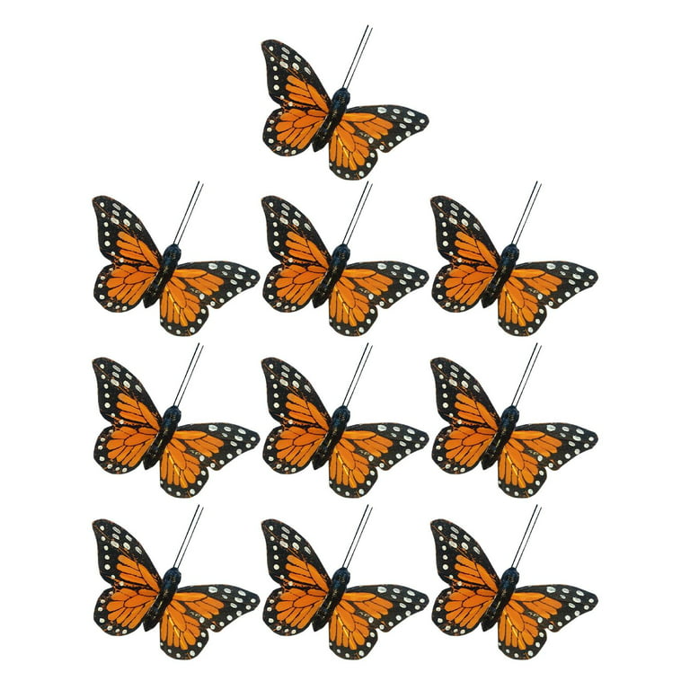 File:Farfalle finte - Fake Butterflies.JPG - Wikimedia Commons
