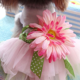 thumbnail image 4 of Vestido de gasa con flores para perro, chaleco, falda, ropa para mascotas, cachorro, lazo, princesa, ropa para perros y gatos, 4 of 5