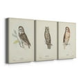 thumbnail image 3 of Little Owl Premium Gallery Wrapped Canvas - Ready to Hang - 18 x 27 Each, 3 of 10