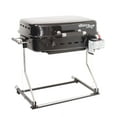 Flame King RV/Trailer Mountable BBQ Motorhome Gas Grill, Complete