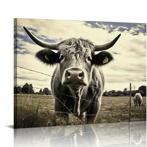 Acheng Highland Cow Wall Art Animals Poster Black and White Framed Nature Prints Canvas Artwork for Living Room Wall Decor 20x16in