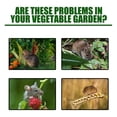 thumbnail image 5 of 20x Keep Mice Out For House Peppermint Oil For Mice And Rats Mouse Squirrel Home, 5 of 5