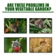 thumbnail image 5 of Peppermint Oil Mice Rat Repellent Ball 40 Pcs Pest Insect Control Mouse Repeller, 5 of 5