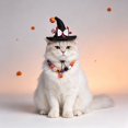 thumbnail image 6 of Halloween Pet Costume Set, Cute Witch Hat & Pumpkin Collar, Cloak & Bat Wings Dress-Up Accessories For Cats & Small Dogs Holiday Party, 6 of 6