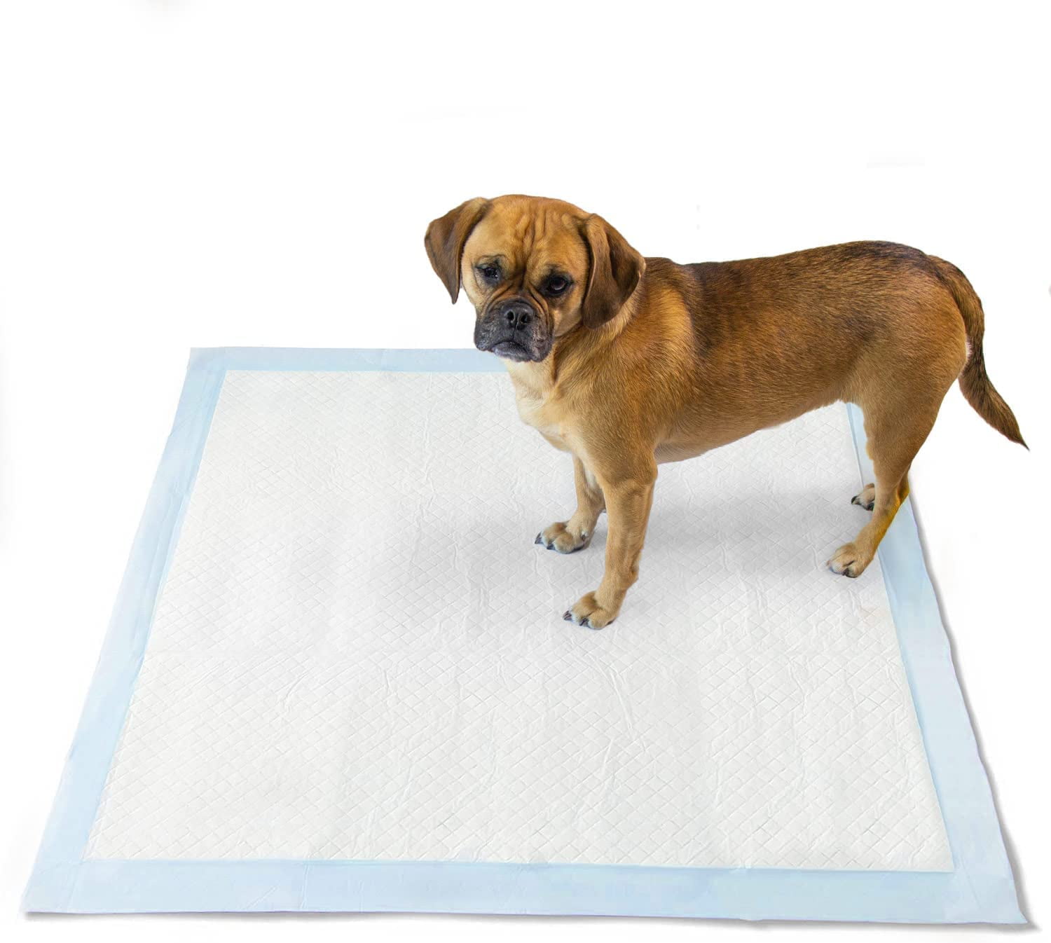 DMI Absorbent 30″ x 36″ Disposable Incontinence Underpads, 100 Count, Bed Pads, Puppy Pads, FSA & HSA Eligible, Bed & Furniture Wetness Protection