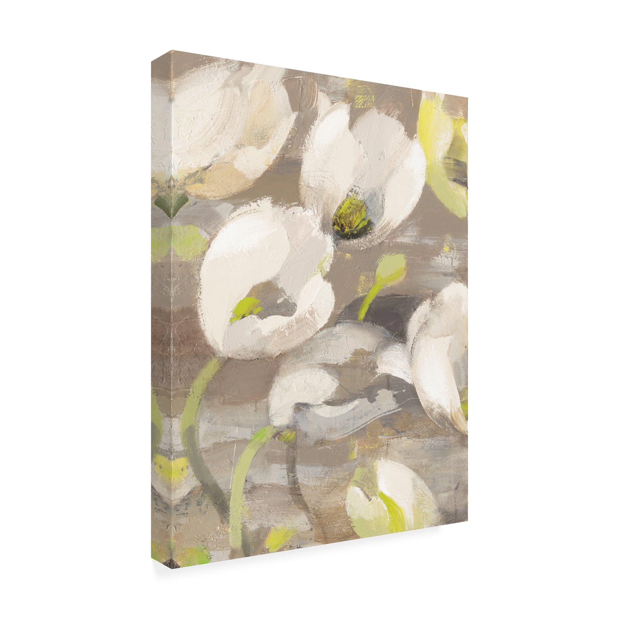 Trademark Fine Art 'Tulip Delight I' Canvas Art by Albena Hristova