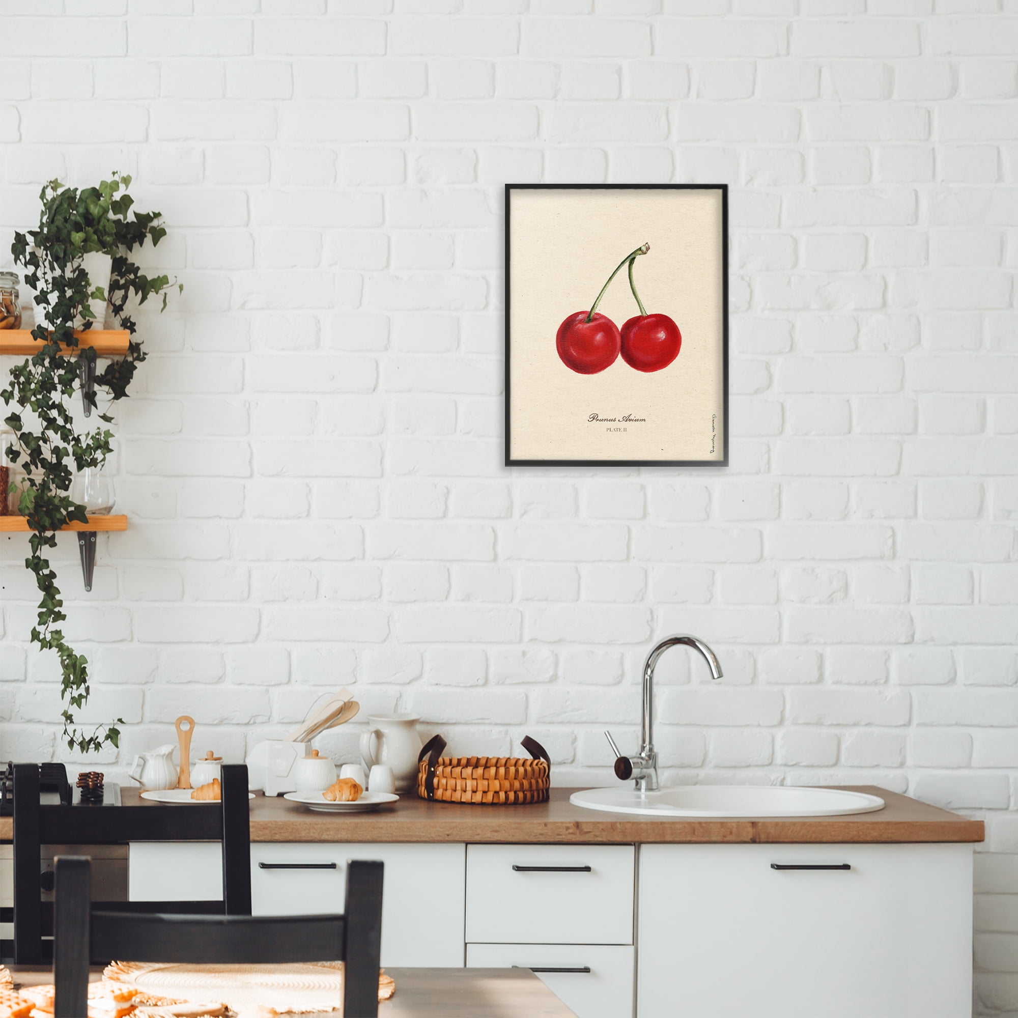 Stupell Industries Cherry Fruit Portrait Black Framed Giclee Art, design by Danielle Murray