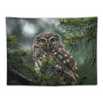 thumbnail image 5 of Orinice Owl Pine Tree Branch Forest Tapestry Wall Hanging Unique Style Graphic Tapestries Home Wall Decor Art for Living Room Bedroom Apartment Dorm Farmhouse, 4 Sizes Available 40x60inch, 5 of 6