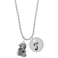 thumbnail image 1 of Delight Jewelry Silvertone Dragon with AB Crystal Eyes & Clear Ball Silvertone Script Initial Disc - T - Charm Necklace, 20"+3", 1 of 4