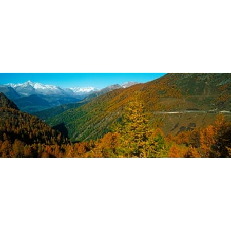 Trees with road in autumn at Simplon Pass Valais Canton Switzerland Canvas Art - Panoramic Images (18 x