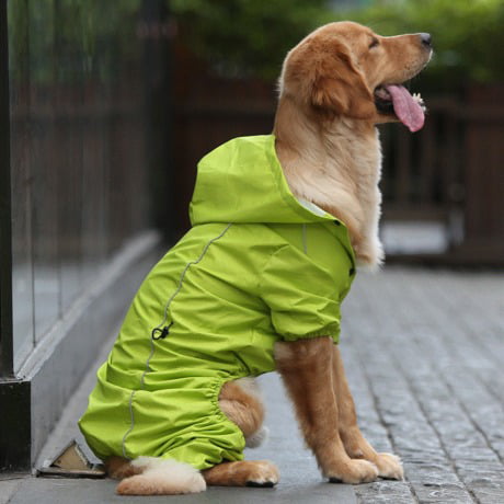 manteau de pluie pour teckel