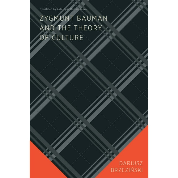 Zygmunt Bauman and the Theory of Culture (Paperback)