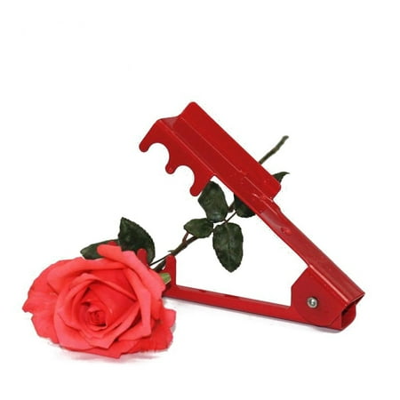 thorn rose metal tool florist pliers removing burrs stripper stem leaf cut flower garden diy