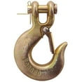 thumbnail image 1 of 1/4" Grade 70 Slip Clevis Hook - with Latch, 1 of 1