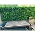 thumbnail image 3 of Spring Sensation Artificial Green Wall 40" x 40" 11SQ FT UV Resistant, 3 of 5