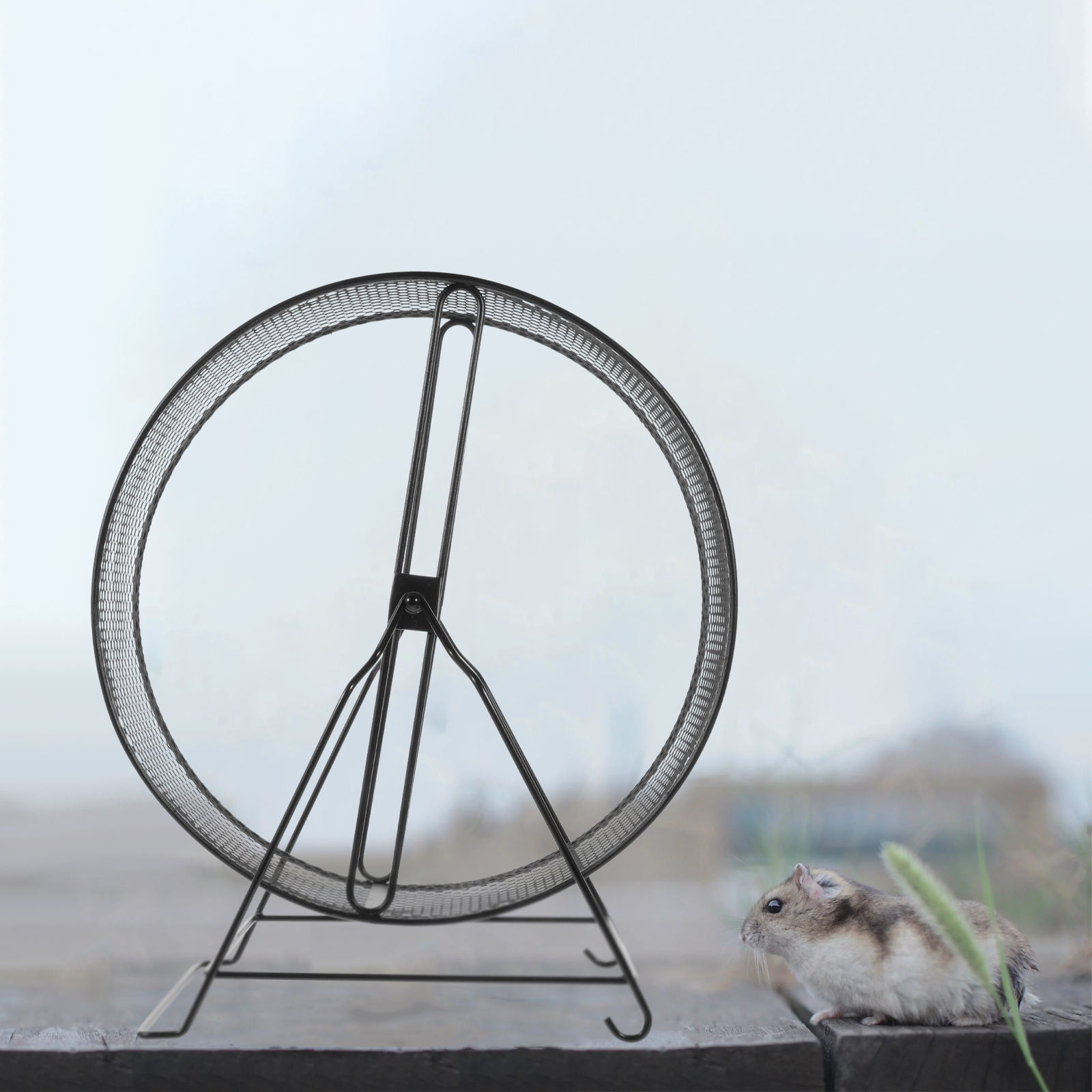 ETHZZLE Iron Hamster Exercise Wheel Black Quiet and Sturdy for Small Pets