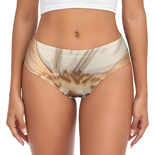 Fotbe Sleeping Cat In Blanket Calzones Estampados para Mujer – Ropa Interior de Algodón, Cómoda, Suave y Elástica-Medium