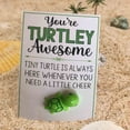thumbnail image 4 of Uutvmp You're Turtley Awesome, Mini Funny Positive Turtle, Inspirational Gift, Mini Turtle Greeting Card, Positive Turtle Doll Gifts for Friends Coworkers Party Decoration, 4 of 7