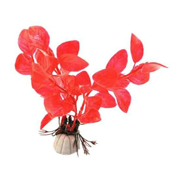 Varios Corales De Plantas De Hierba Acuática Artificial Para Florero De Terrario De Acuario